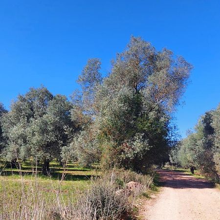 "Oliveiras" Appartement Typique Avec Terrasse Et Piscine Loulé Kültér fotó