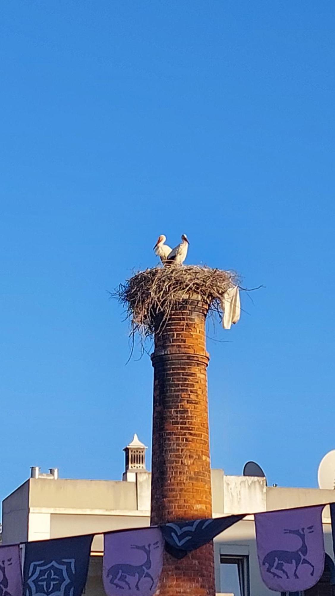 "Oliveiras" Appartement Typique Avec Terrasse Et Piscine Loulé Kültér fotó