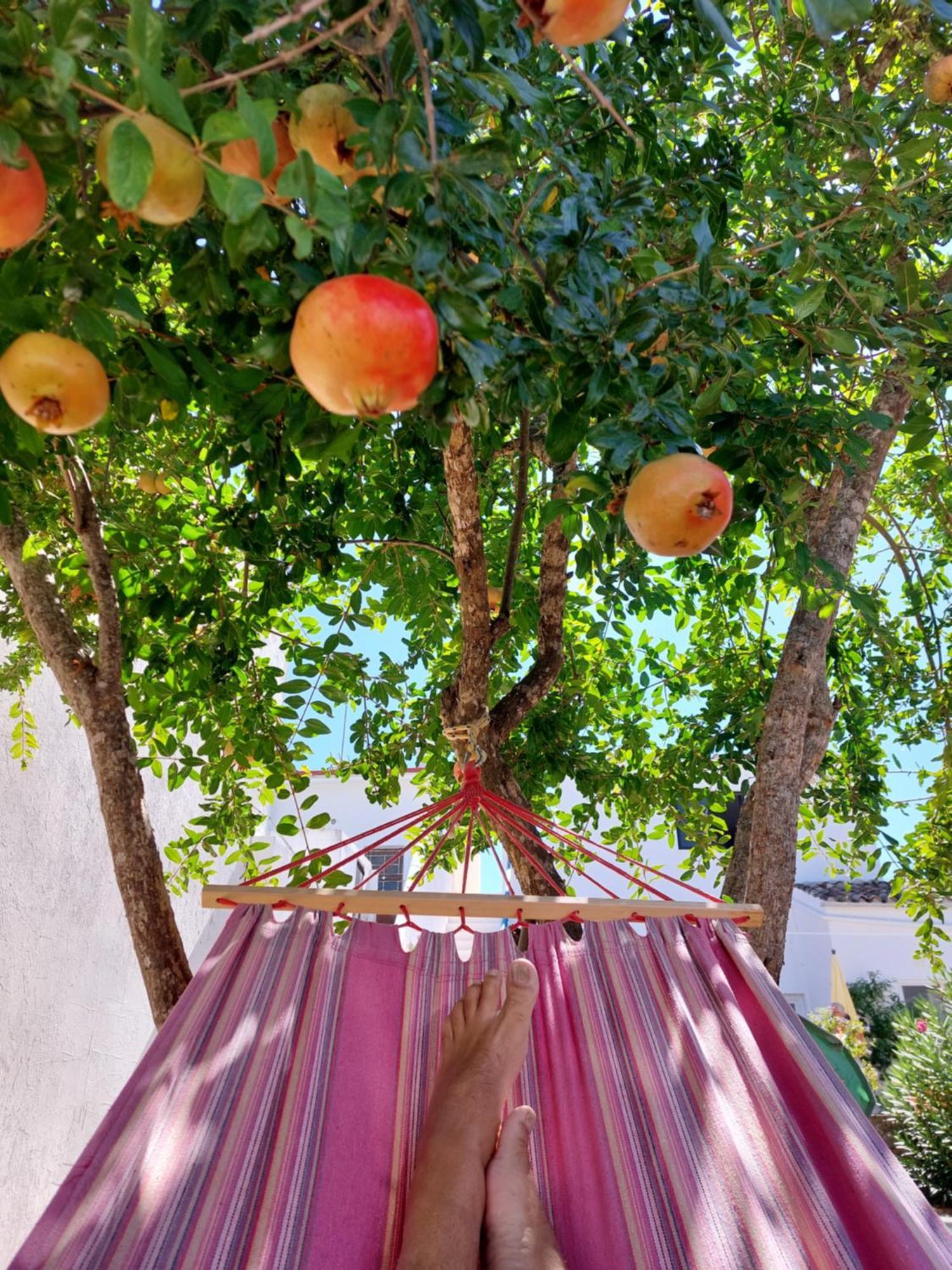 "Oliveiras" Appartement Typique Avec Terrasse Et Piscine Loulé Kültér fotó