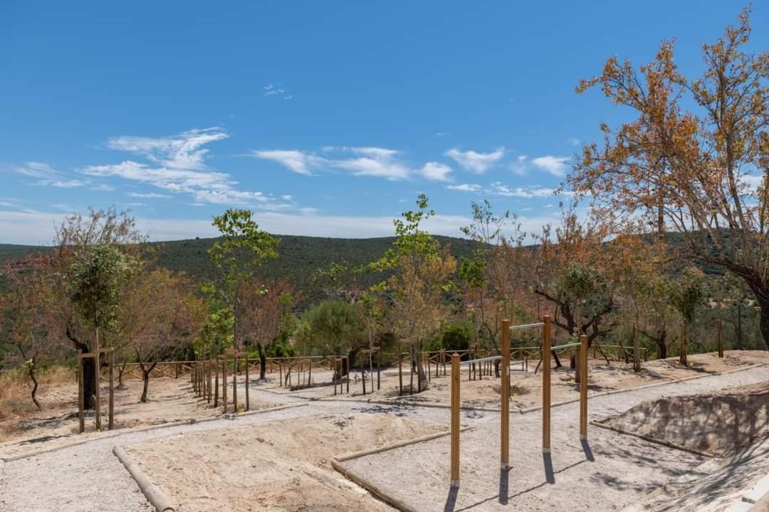 "Oliveiras" Appartement Typique Avec Terrasse Et Piscine Loulé Kültér fotó